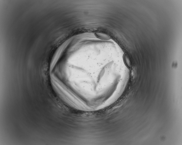 X0000102820867200809151013