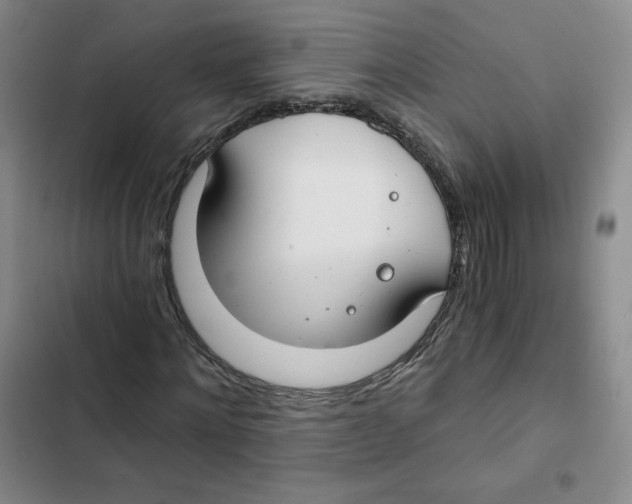 X0000102820868200809151013