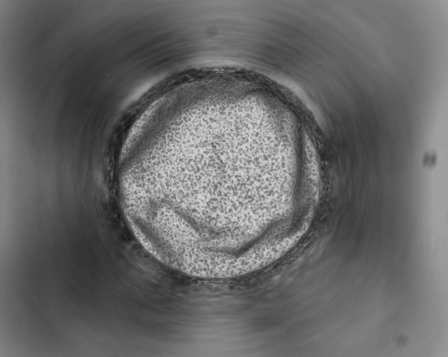 X0000102820871200809151013