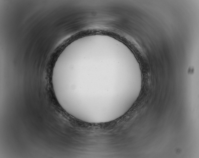 X0000102820872200809151013