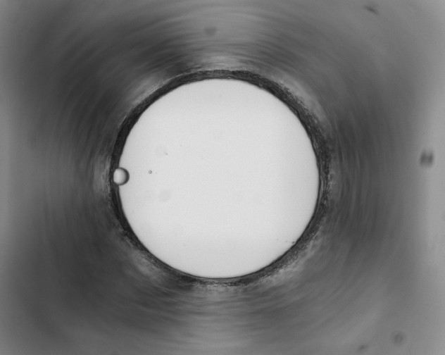 X0000102820873200809151013
