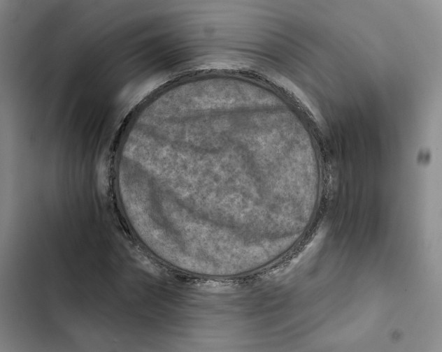 X0000102820874200809151013