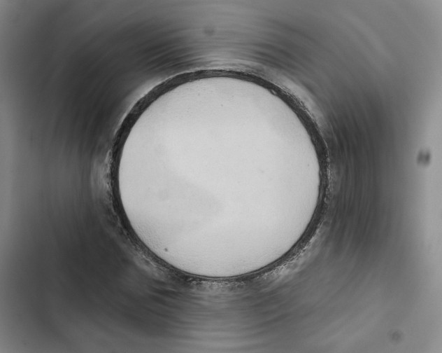 X0000102820875200809151013