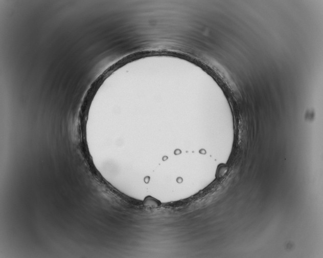 X0000102820876200809151013