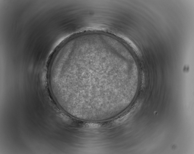 X0000102820878200809151013