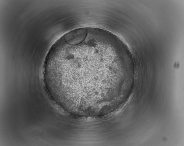 X0000102820879200809151013