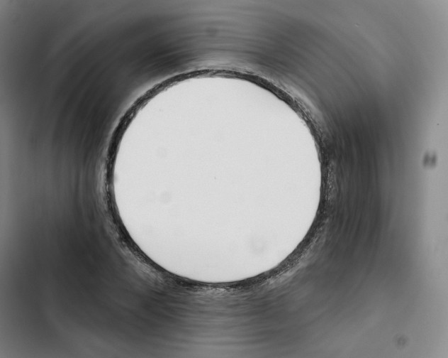 X0000102820880200809151013