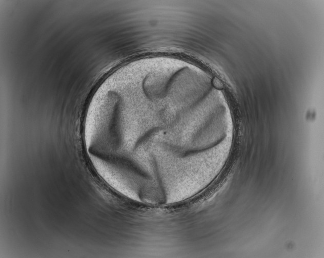 X0000102820881200809151013
