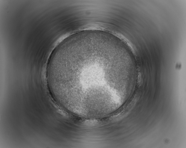 X0000102820882200809151013