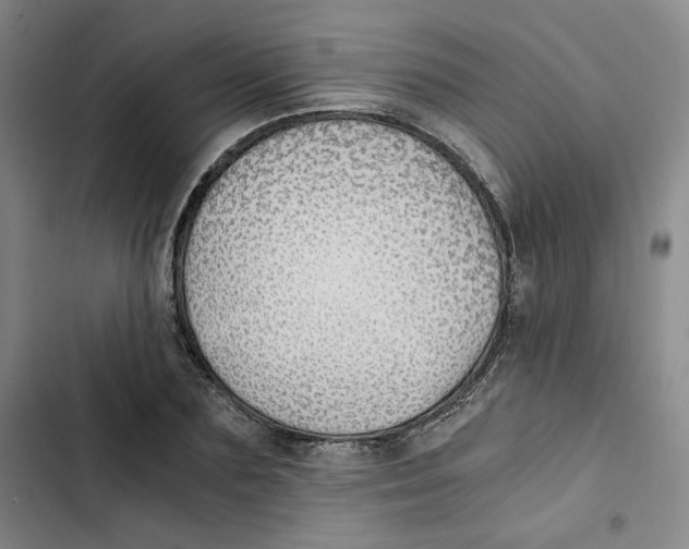X0000102820883200809151013