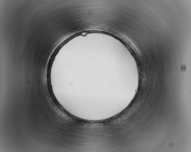 X0000102820884200809151013