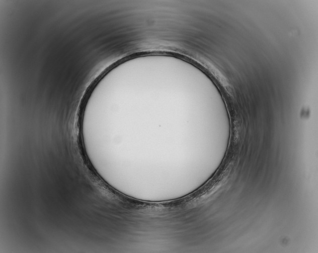 X0000102820885200809151013