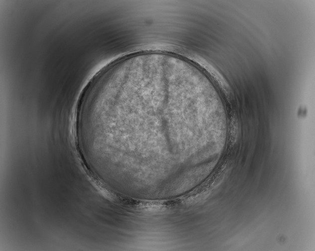 X0000102820886200809151013