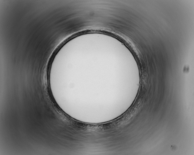 X0000102820887200809151013