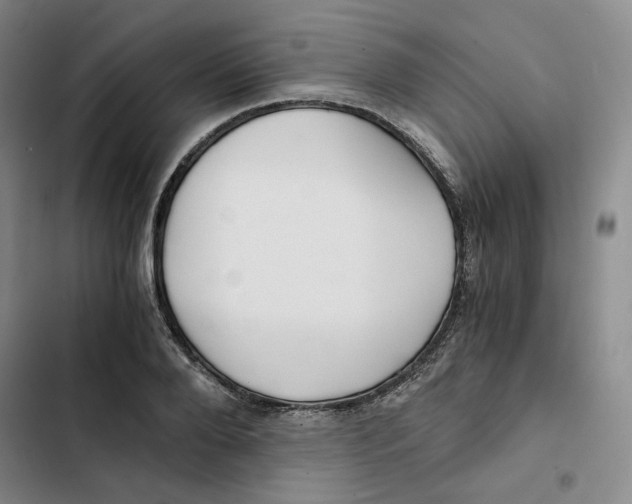 X0000102820888200809151013
