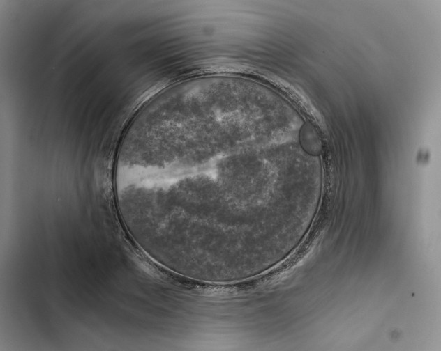 X0000102820889200809151013