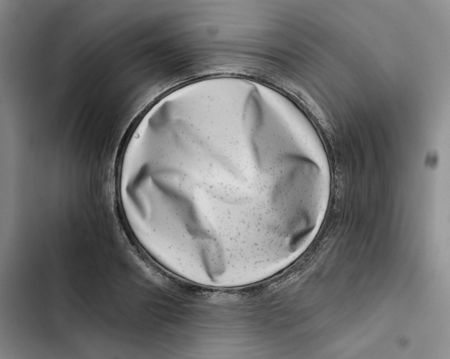 X0000102820890200809151013