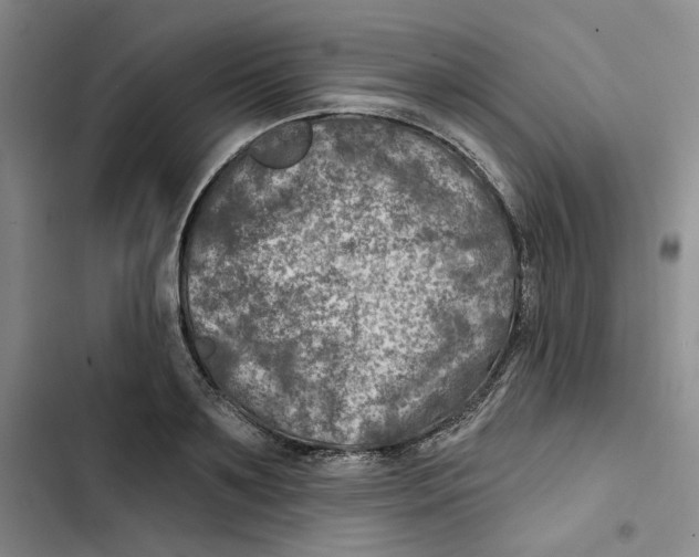 X0000102820891200809151013