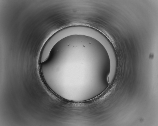 X0000102820893200809151013