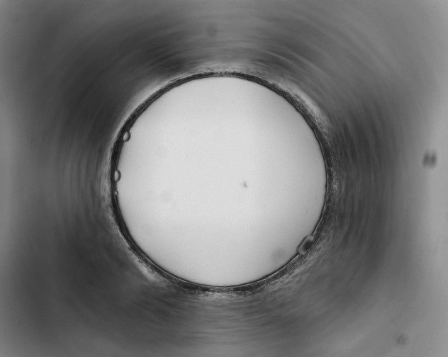 X0000102820894200809151013