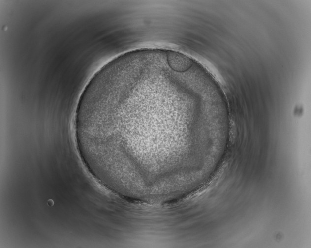X0000102820895200809151013