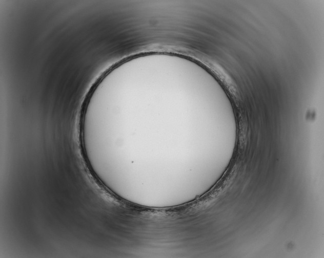 X0000102820896200809151013