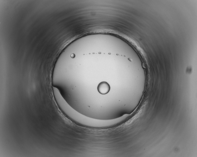 X0000102820897200809151013