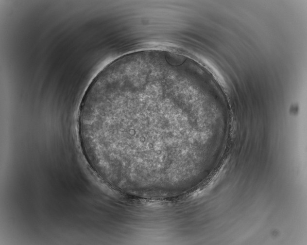 X0000102820899200809151013