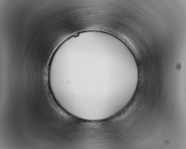X0000102820900200809151013