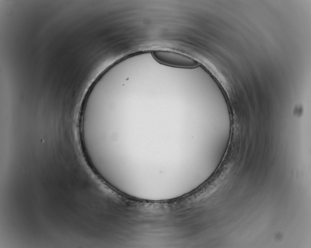 X0000102820901200809151012