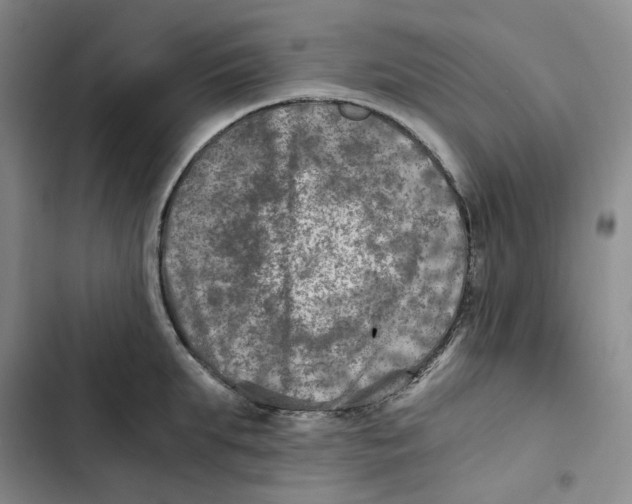 X0000102820903200809151012