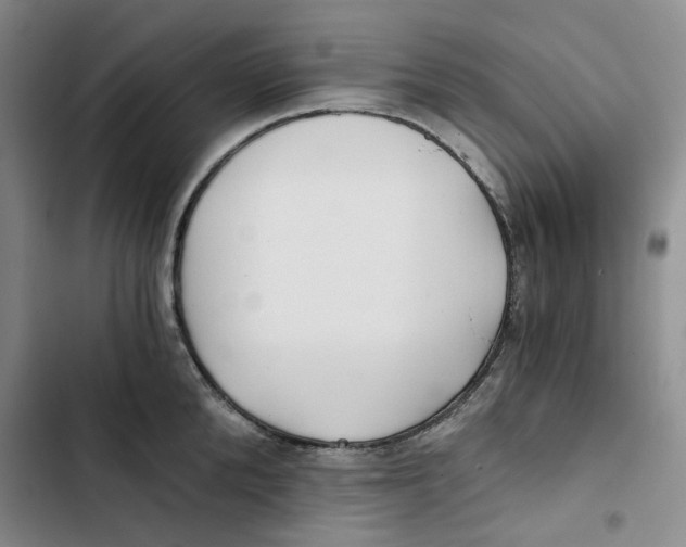 X0000102820904200809151012