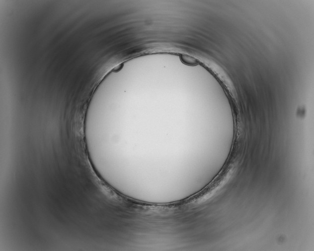 X0000102820905200809151012