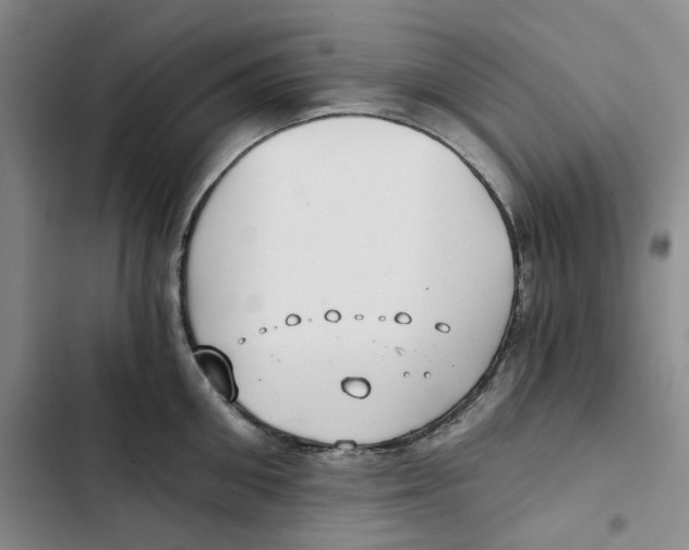 X0000102820906200809151012