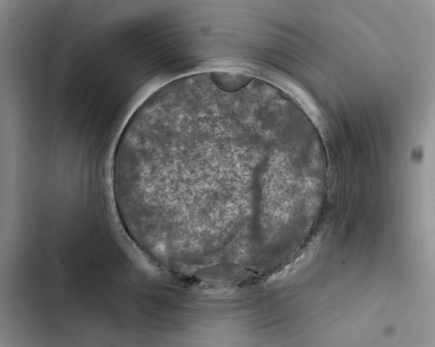 X0000102820907200809151012