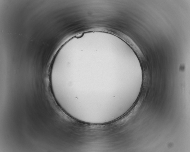 X0000102820908200809151012