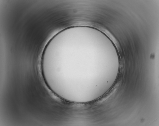 X0000102820909200809151012