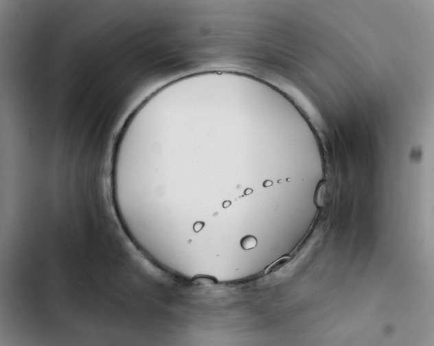 X0000102820910200809151012
