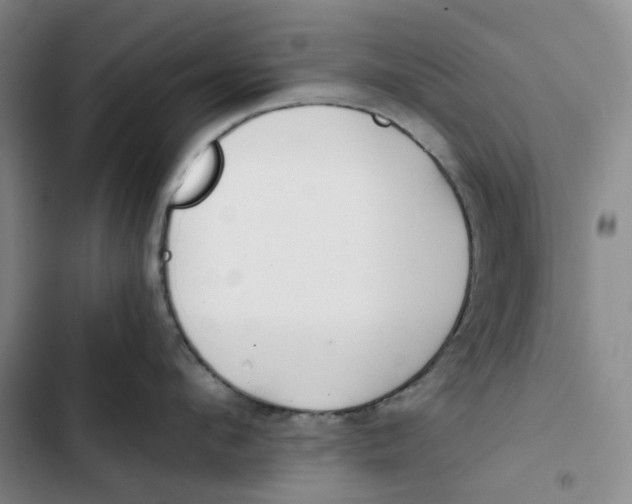 X0000102820912200809151012