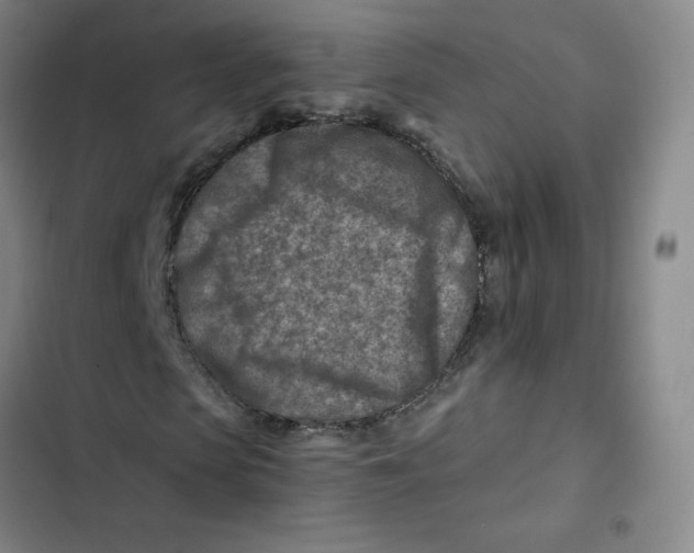 X0000102820913200809151012