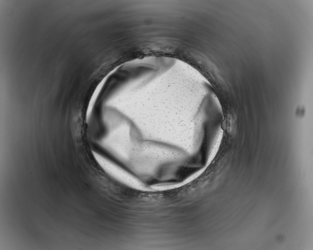 X0000102820915200809151012