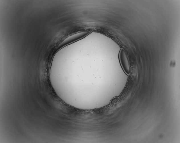 X0000102820916200809151012