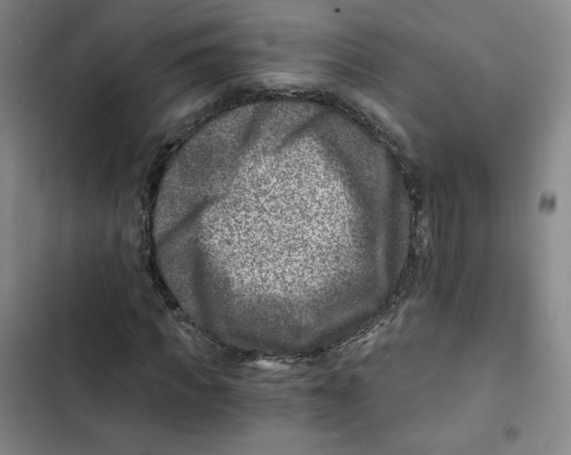 X0000102820917200809151012