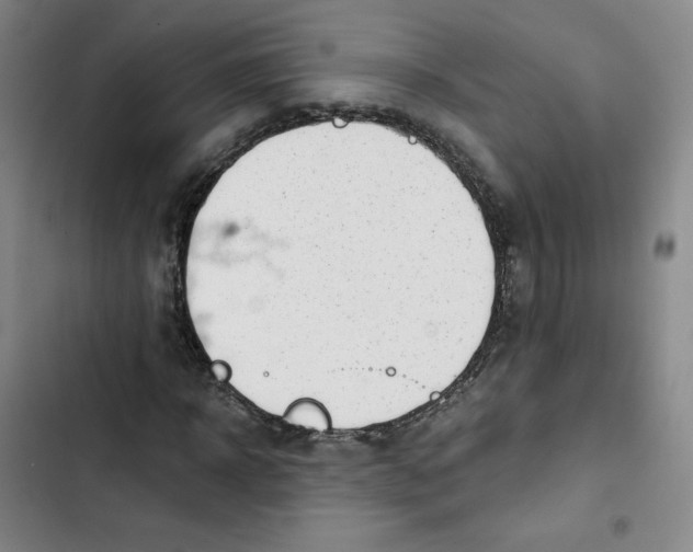 X0000102820918200809151012