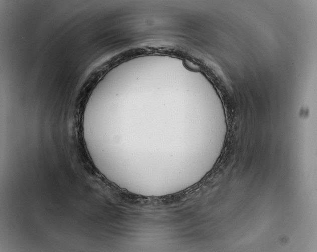 X0000102820920200809151012