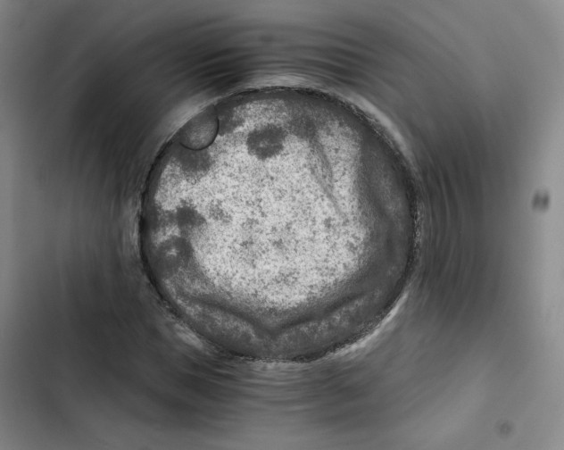 X0000102820921200809151012
