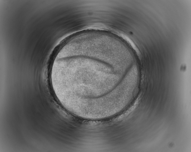 X0000102820923200809151012