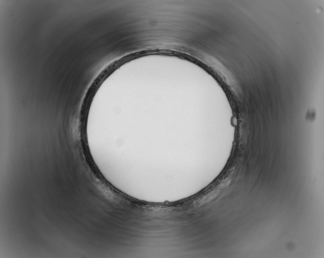 X0000102820924200809151012