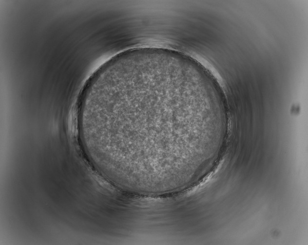 X0000102820925200809151012