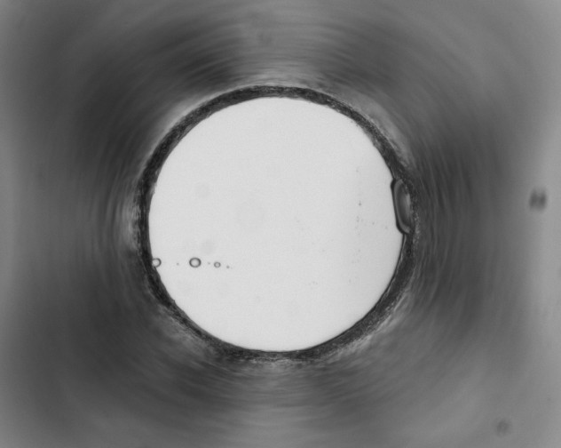 X0000102820926200809151012